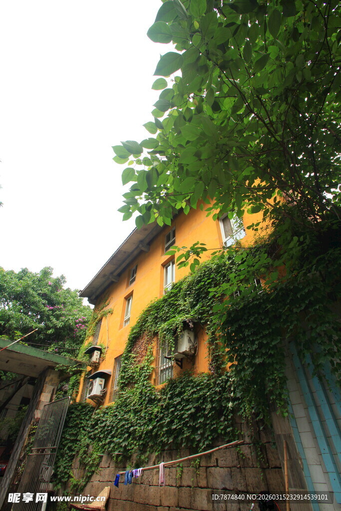 黄墙绿植环绕的温馨小屋