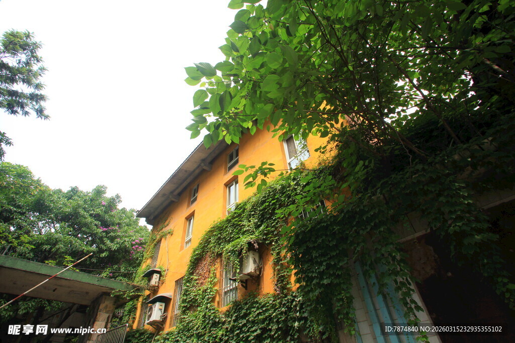 被绿植环绕的温馨小屋