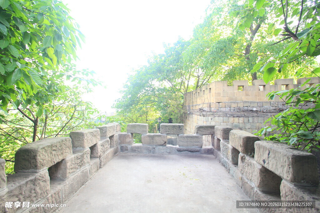 石砌步道间的绿意景致