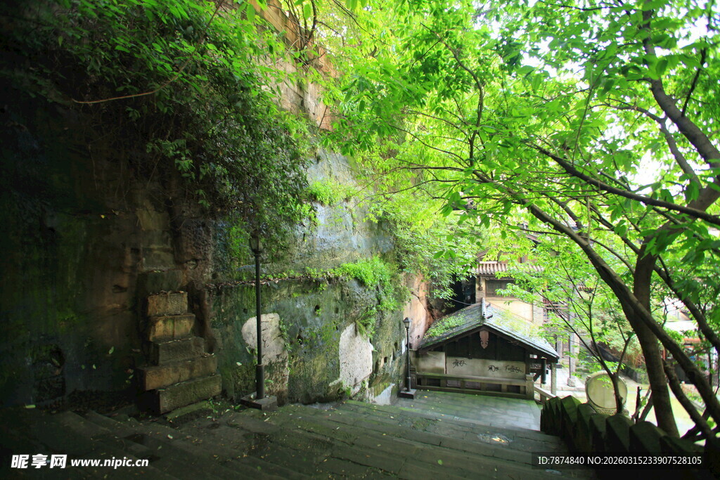 山间隐秘小屋 绿意环绕