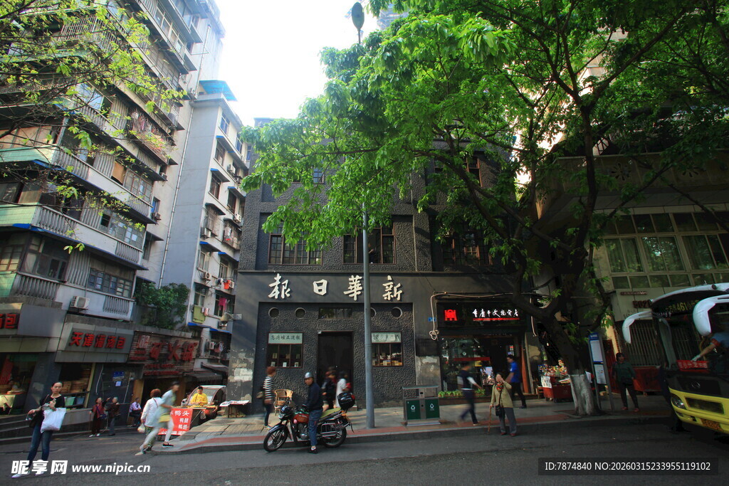 城市街道中的绿树与建筑