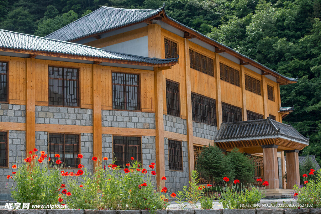 山间木屋旁绽放的艳丽花朵