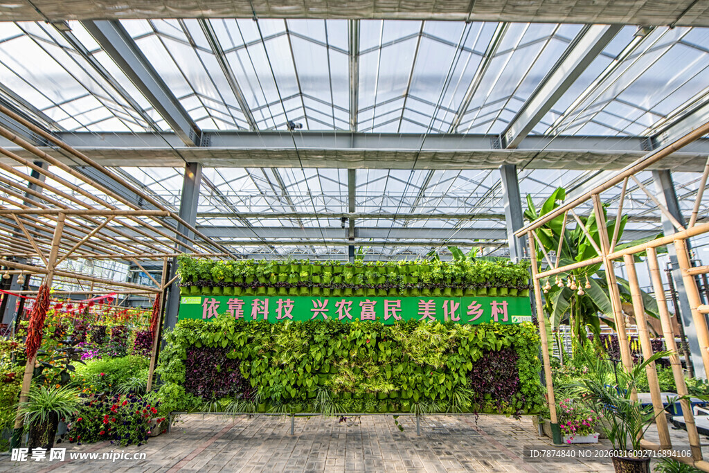 温室绿植景观