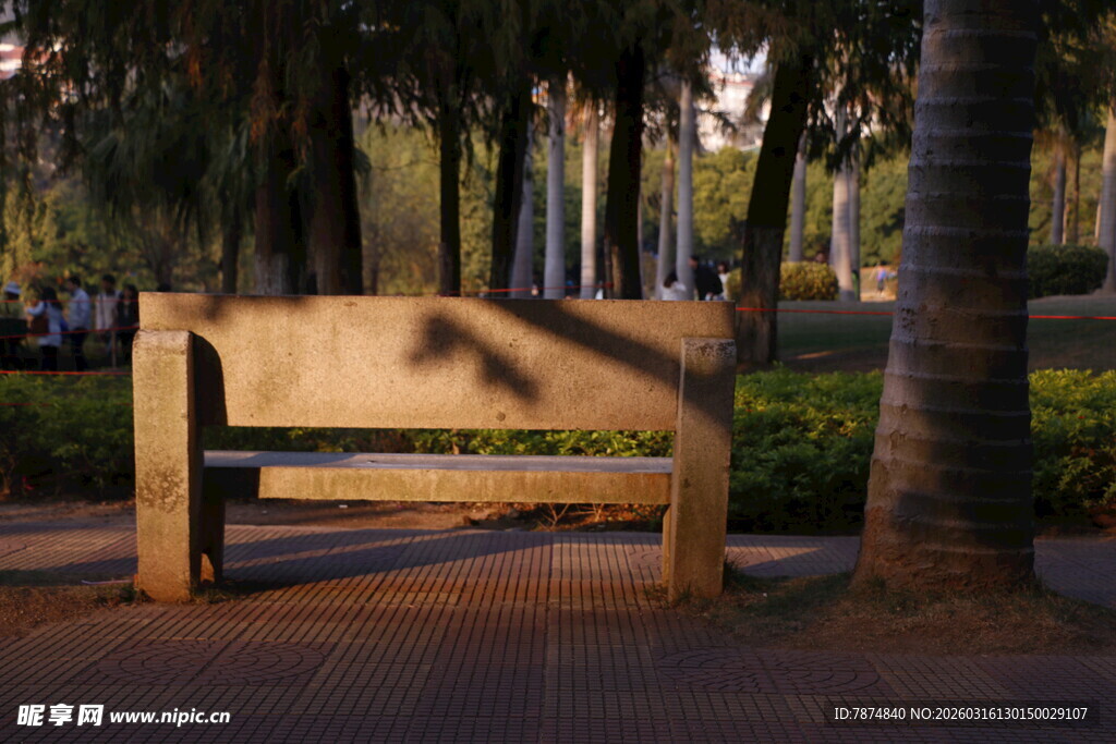 公园长椅沐浴在夕阳余晖中