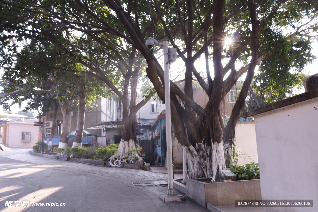 阳光洒落的静谧街道小巷