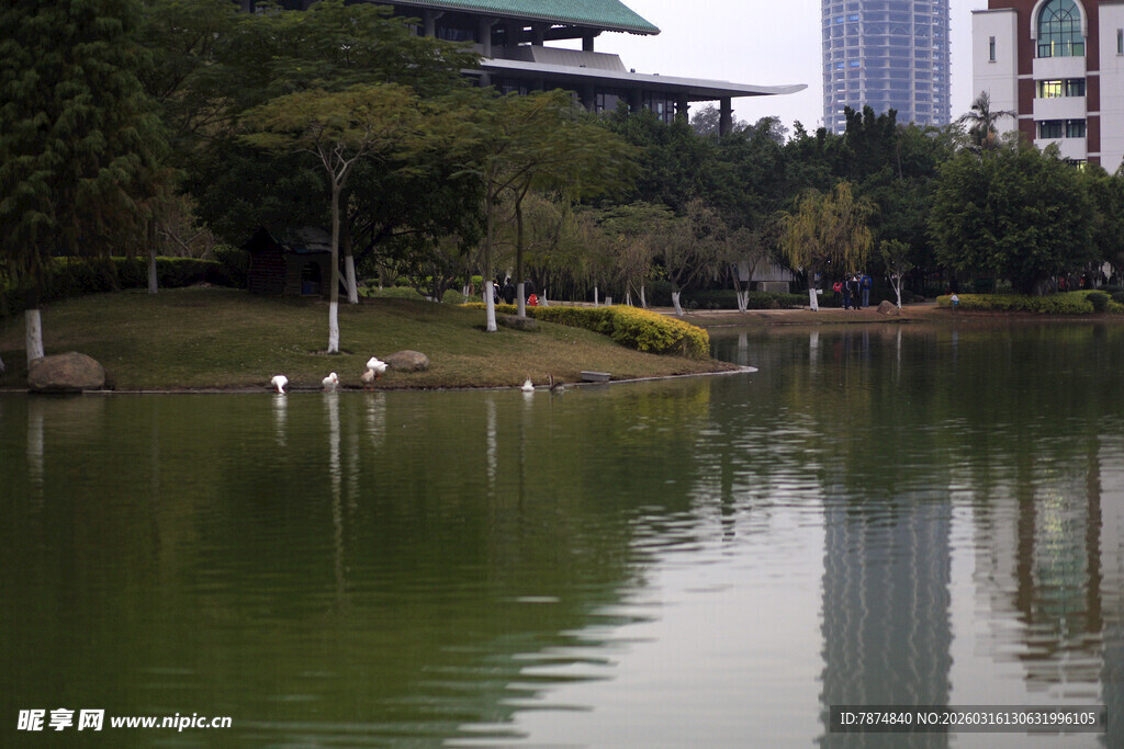 城市湖畔静谧风光