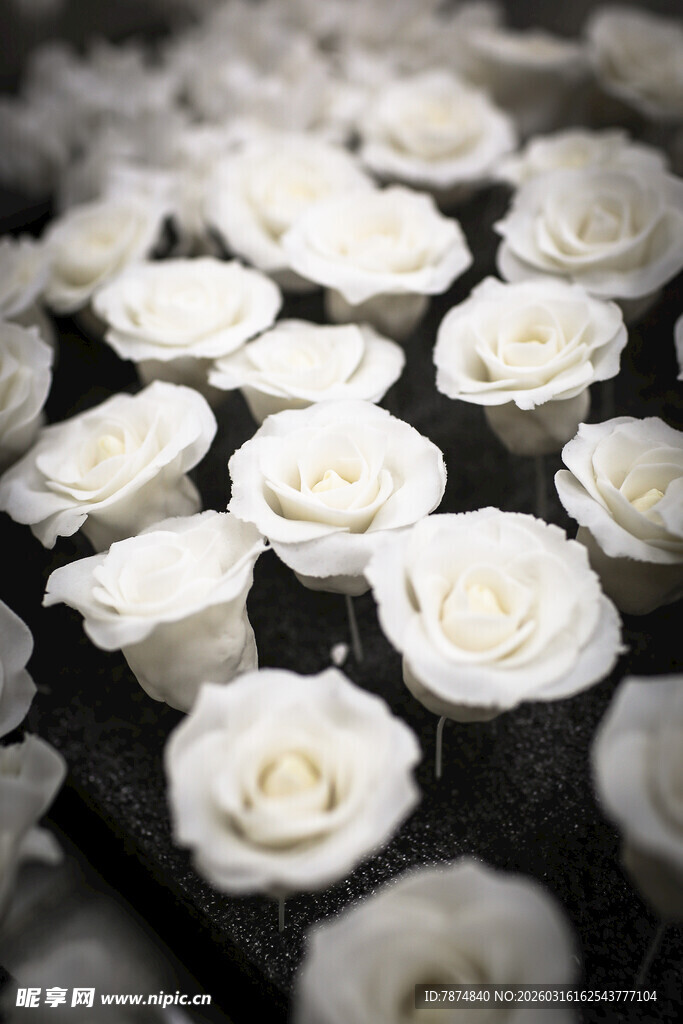 工艺品白玫瑰簇拥的浪漫景致