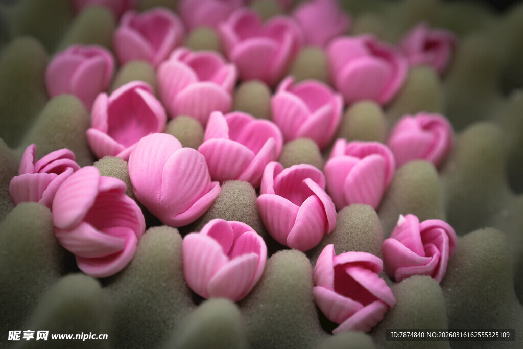 工艺品粉色郁金香花苞特写