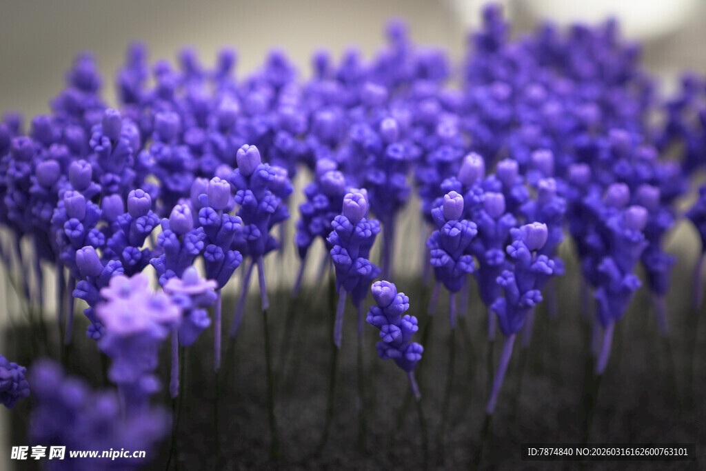 工艺品紫色风信子花海