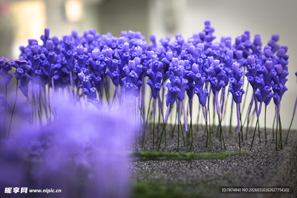 工艺品紫色花丛绽放美丽瞬间
