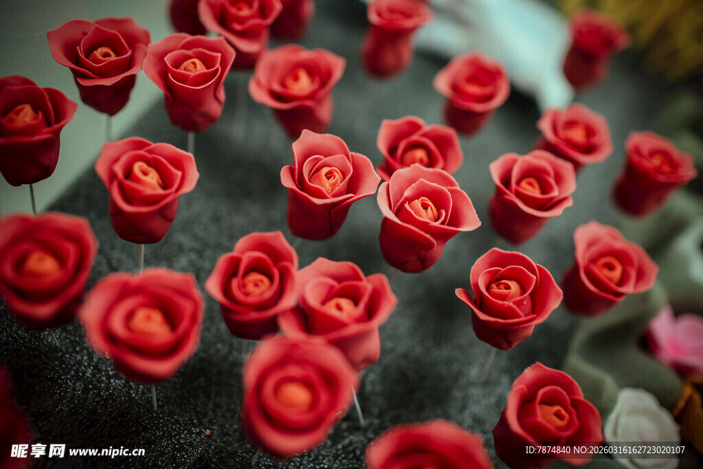 工艺品红玫瑰状仙人掌花朵绽放