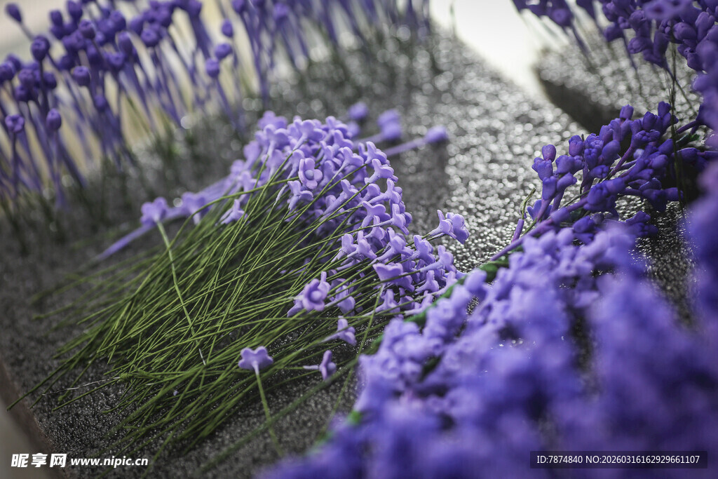 工艺品紫色花丛近景特写