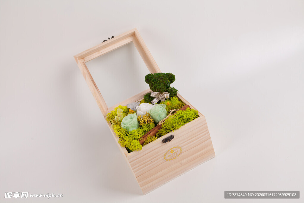 工艺品木质提篮中的多肉植物
