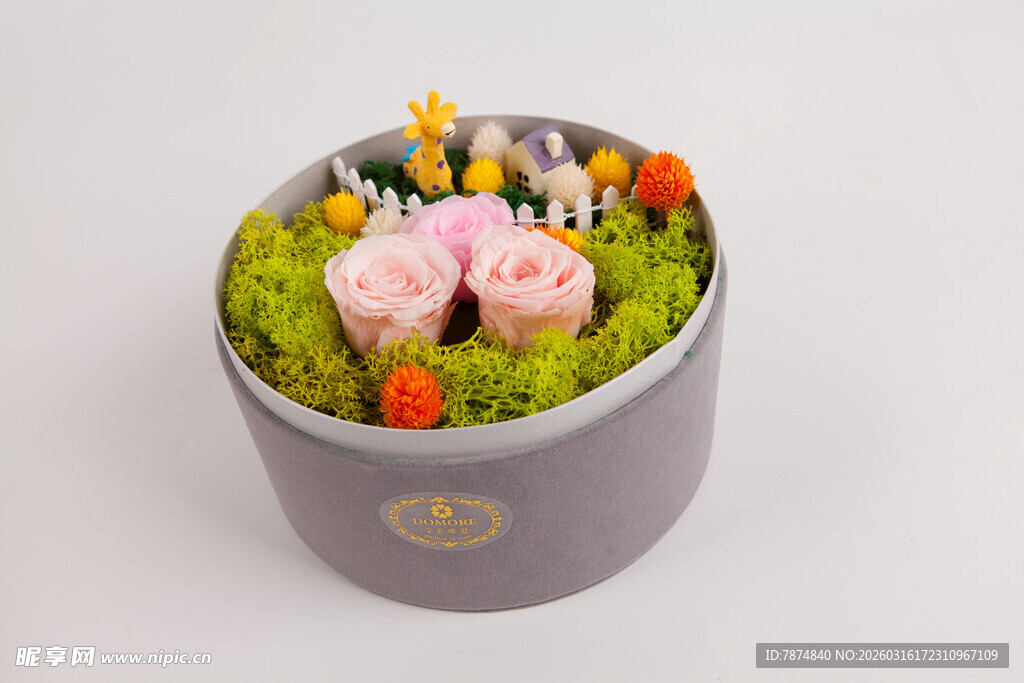 工艺品多肉盆栽微景观