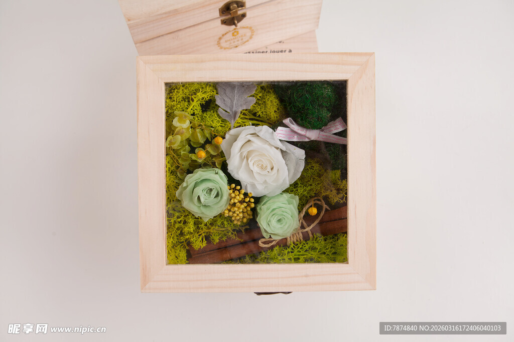 工艺品木质相框中的多肉植物