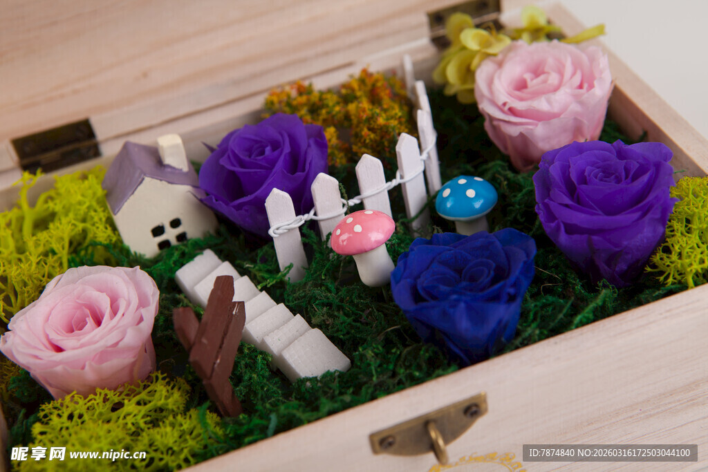 精致微景观盆栽