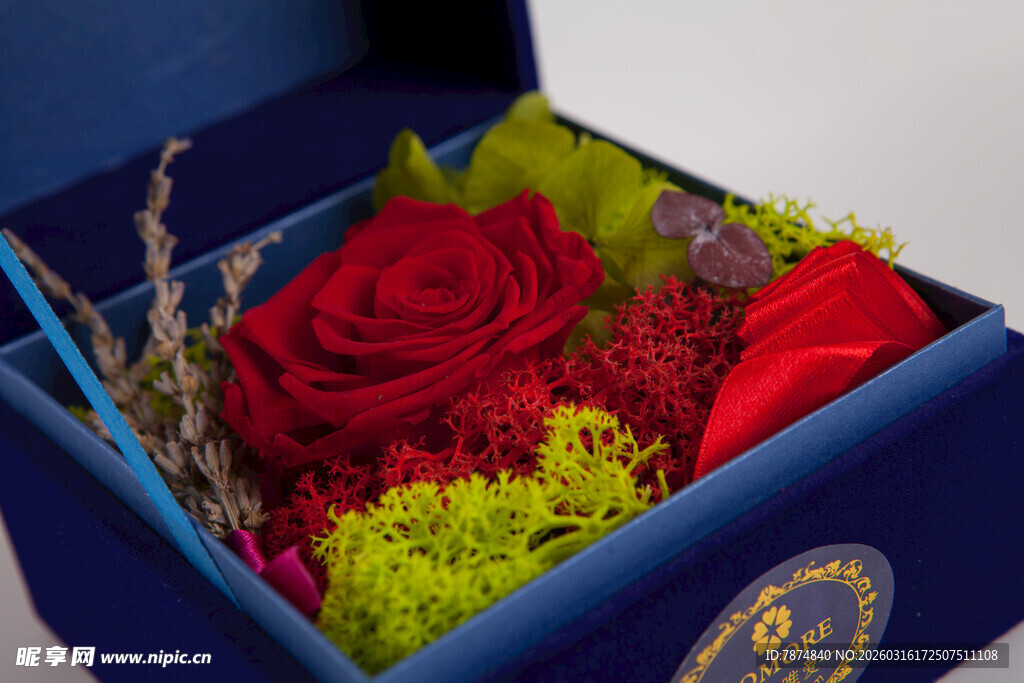 工艺品蓝色礼盒中的娇艳红玫瑰