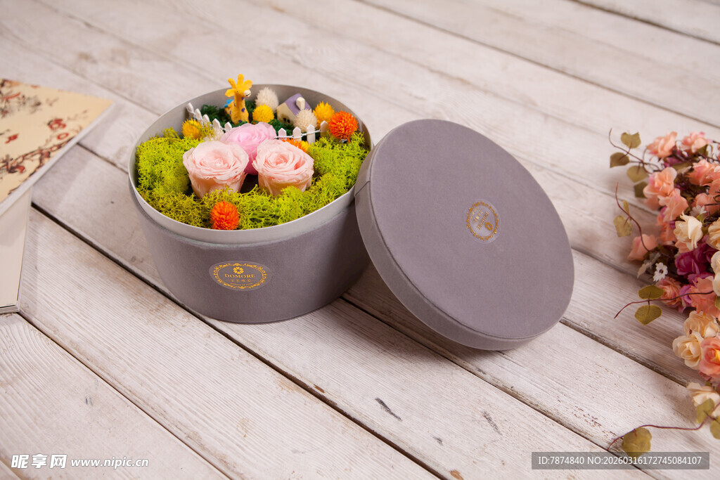 工艺品精致盒装多肉植物组合