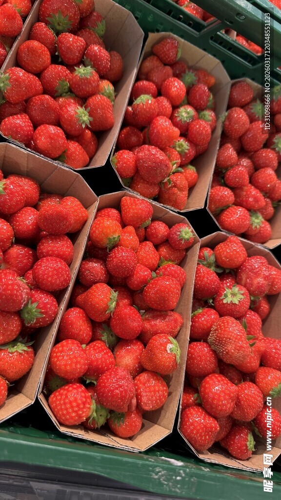 新鲜盒装草莓整齐摆放