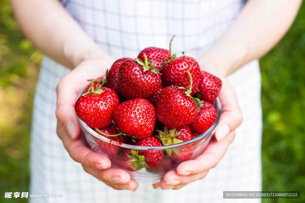 手捧新鲜饱满的红草莓