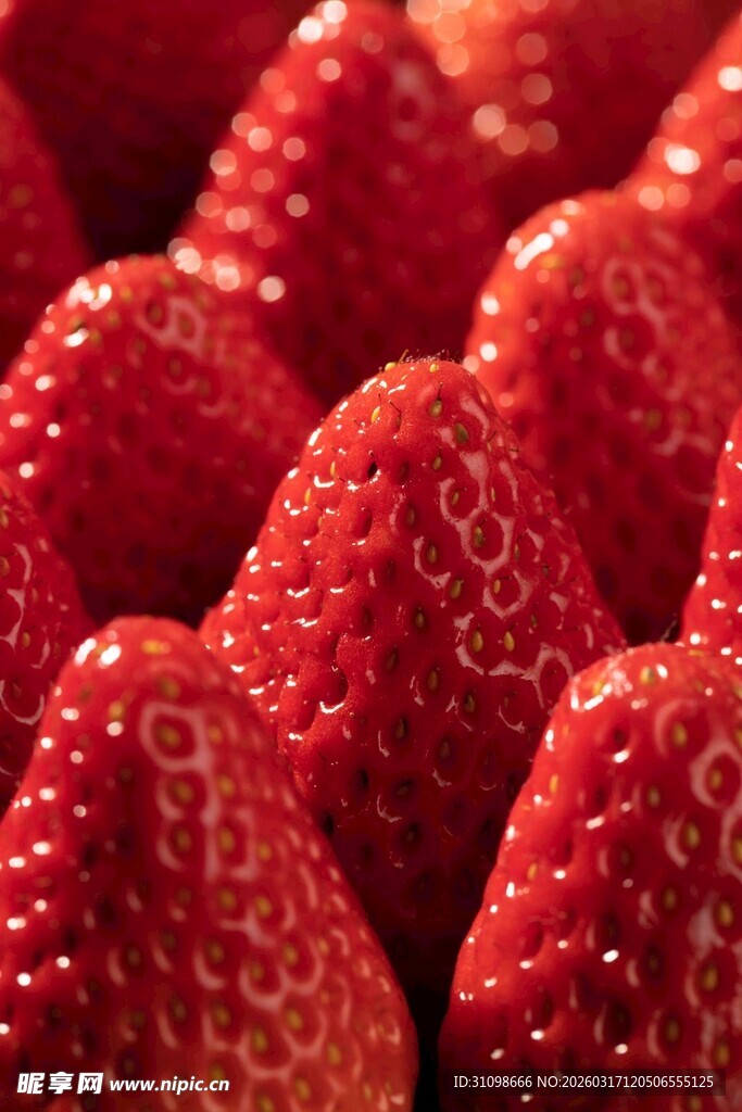 新鲜饱满的红色草莓