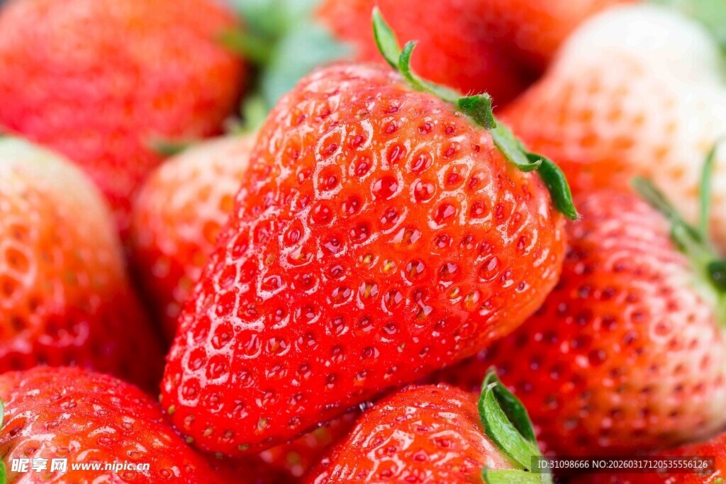 新鲜诱人的草莓果实