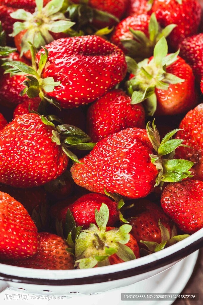 满满一盆新鲜红嫩草莓