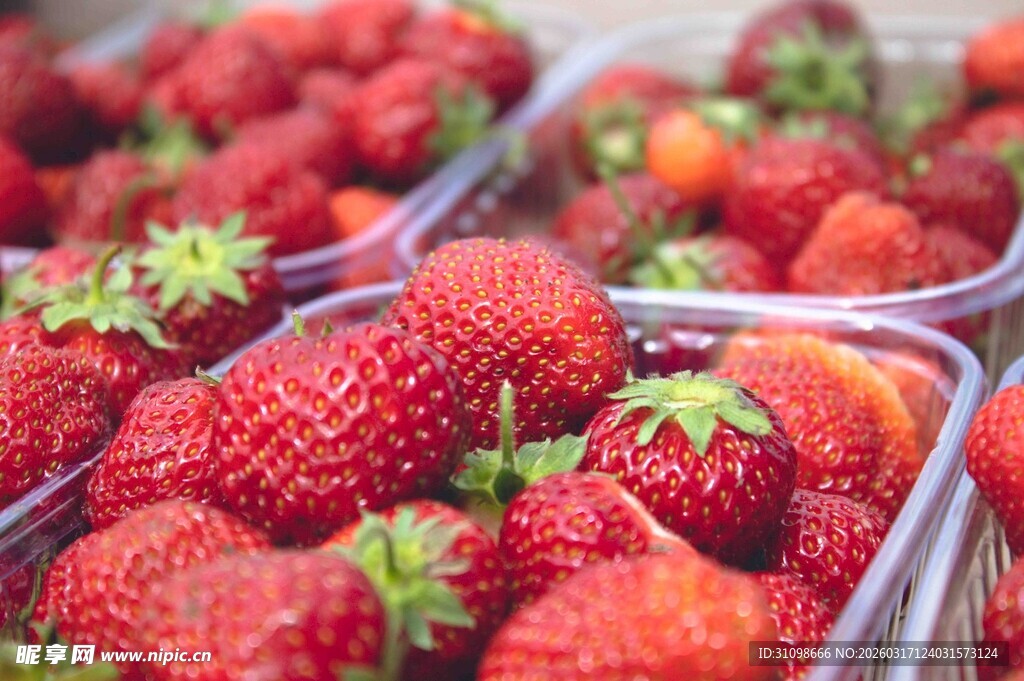 新鲜诱人的盒装草莓