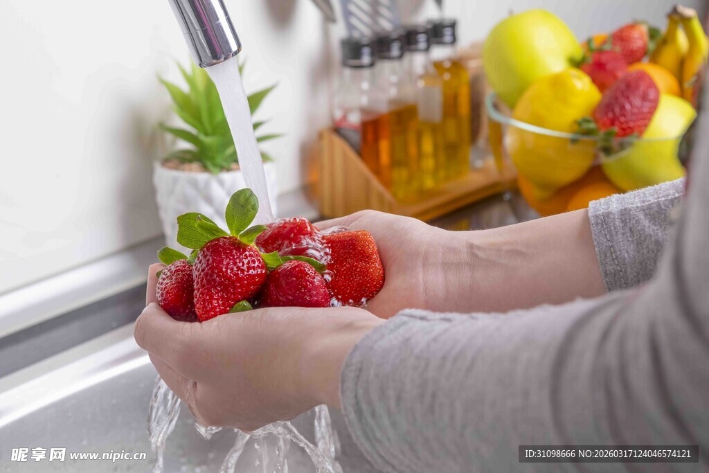 双手捧新鲜草莓的温馨画面