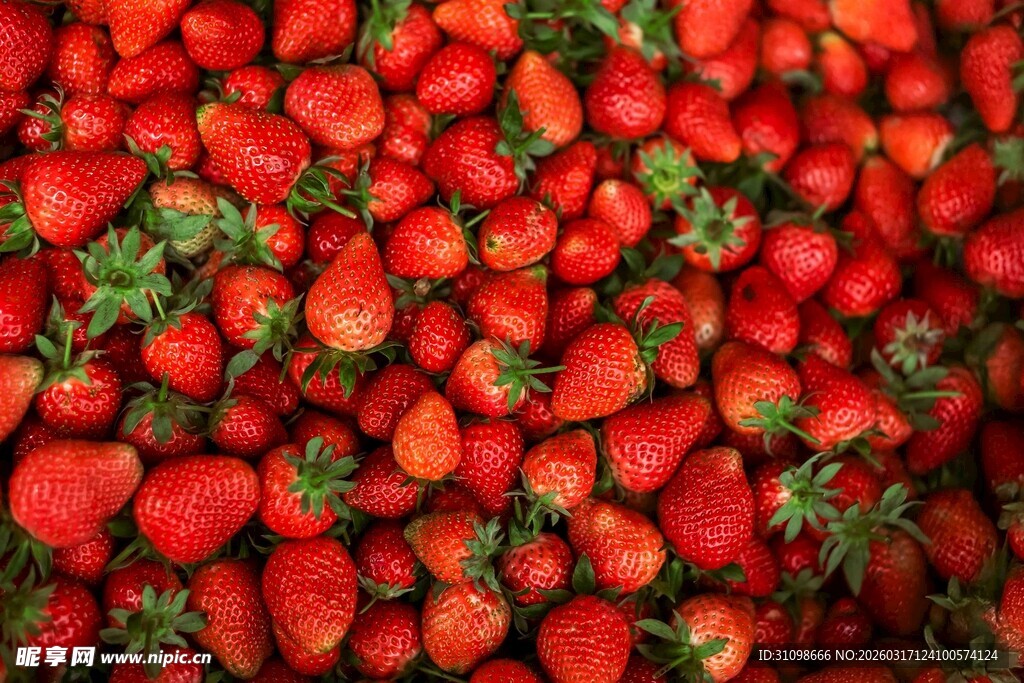 新鲜饱满的草莓堆叠