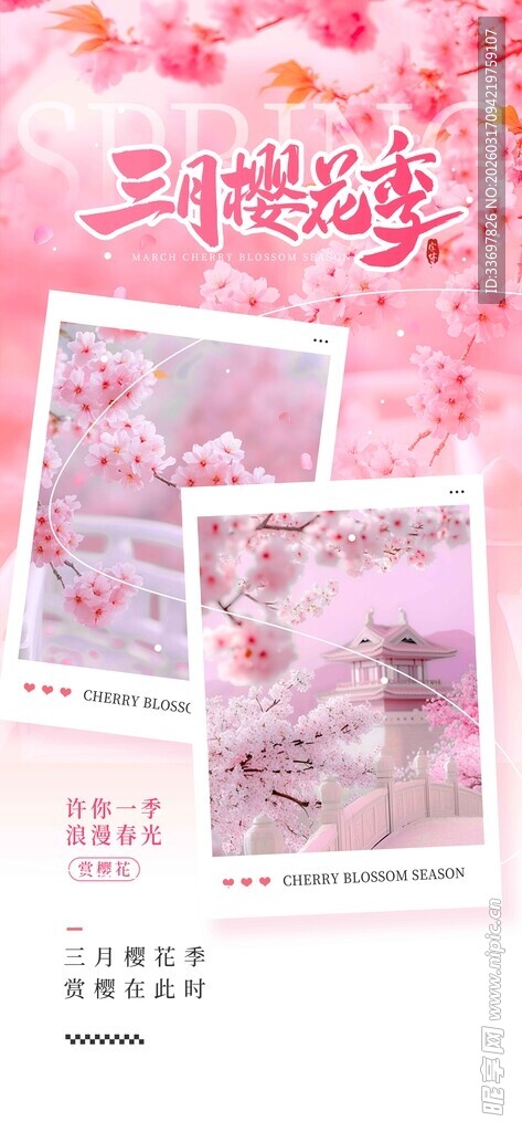樱花季