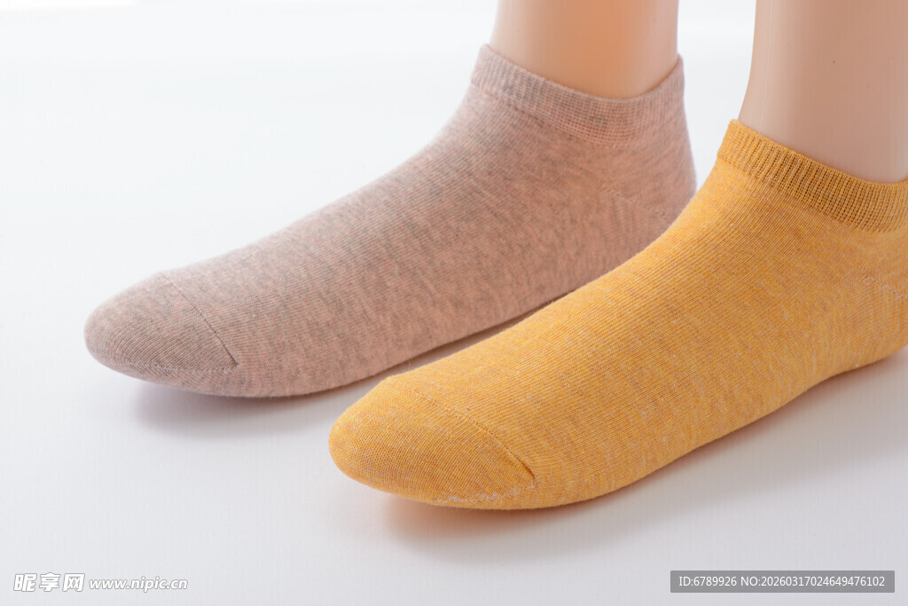 两双简约纯色女士短袜