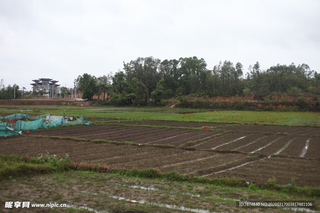乡村田野农田景象