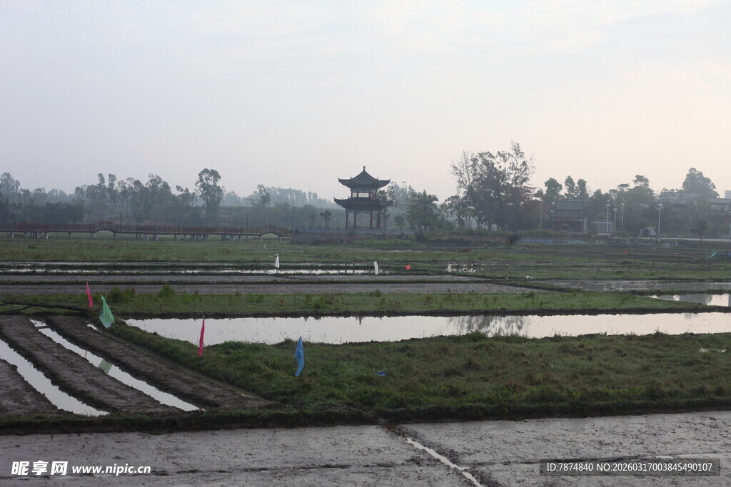 乡村水田风光景致