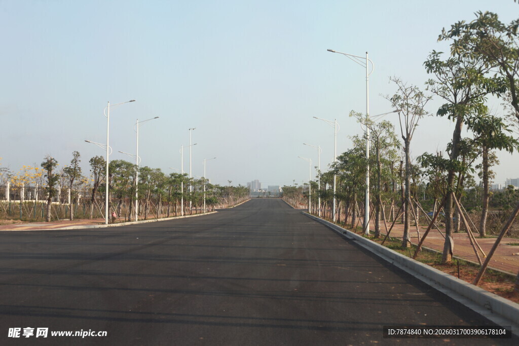 宽阔公路旁绿树成荫
