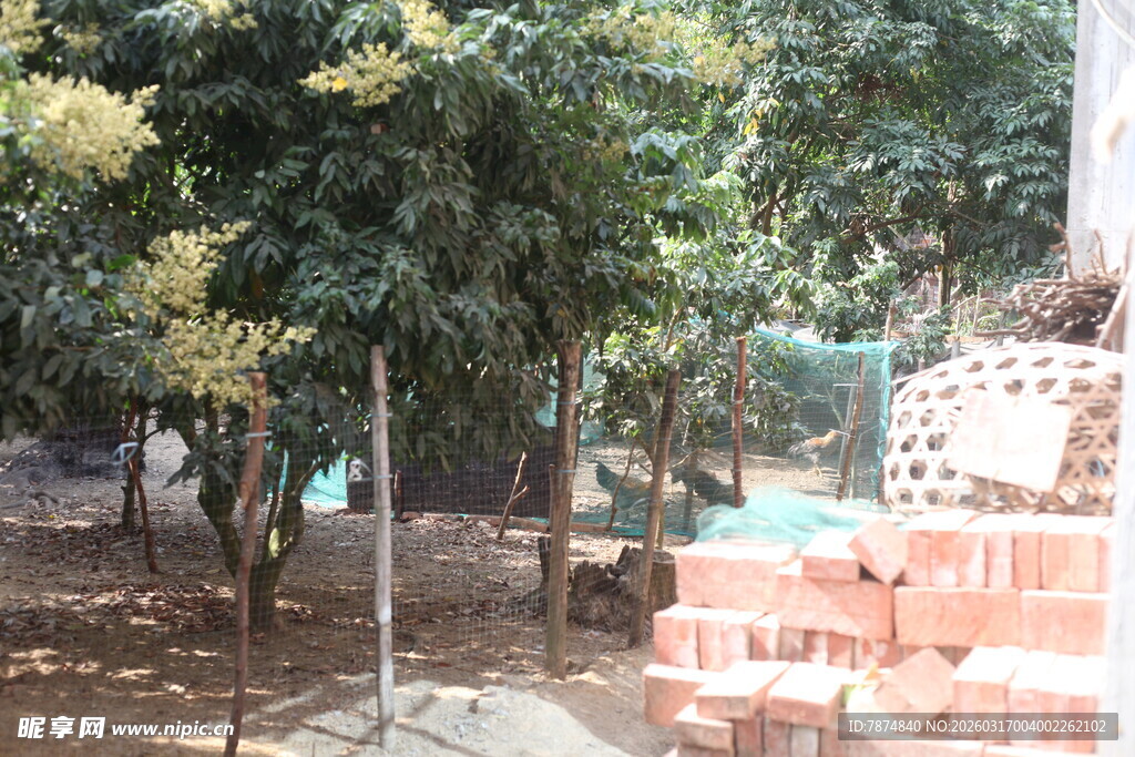 庭院绿植旁的砖砌景观