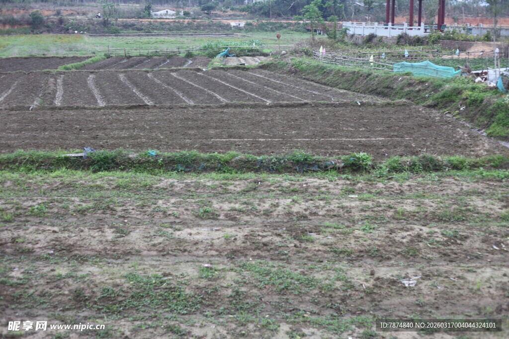 农田景象