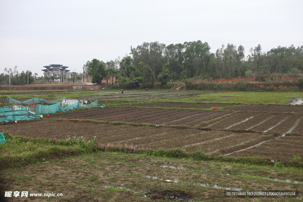 田野农田景象