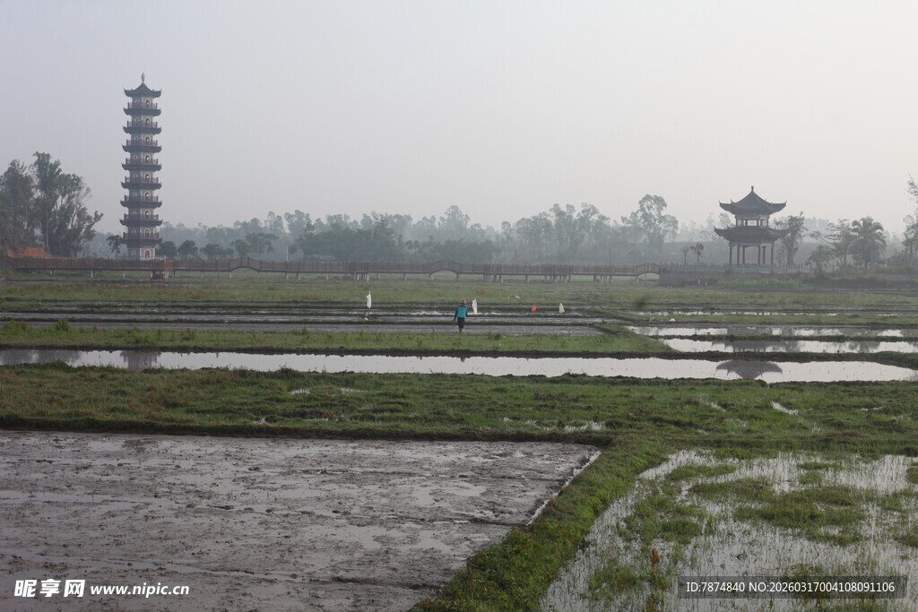 雾中田园古塔景观