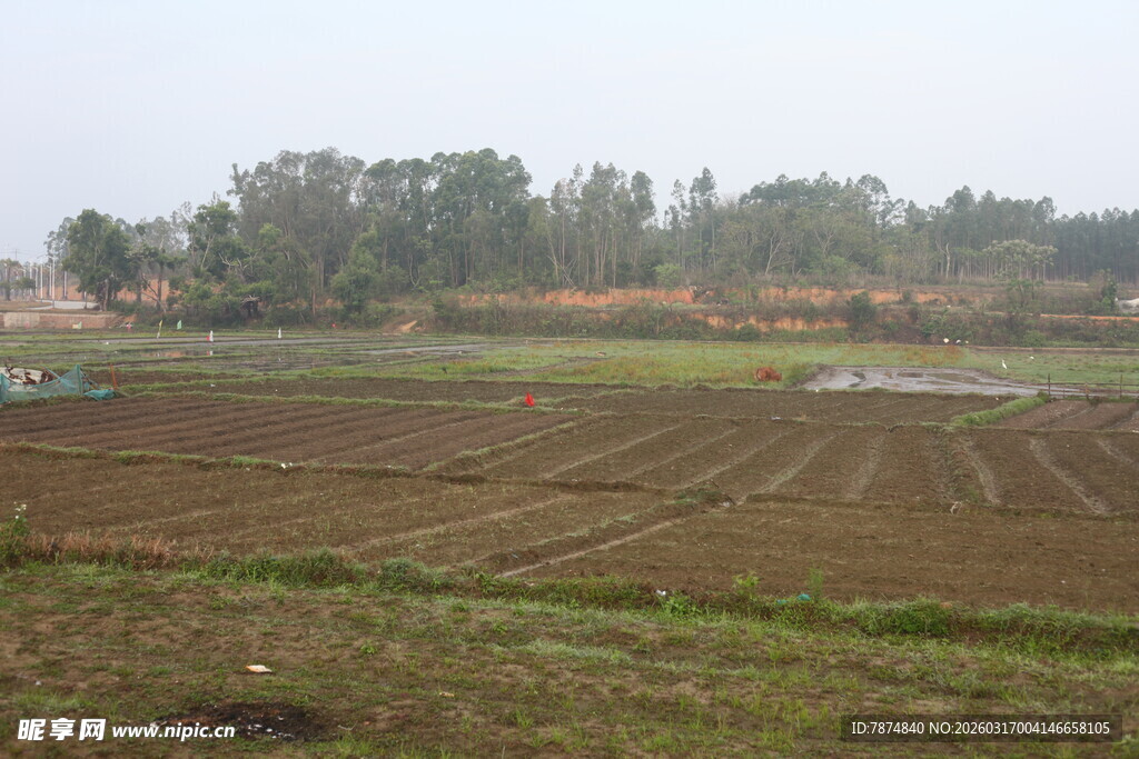 田野风光 宁静的农耕场景