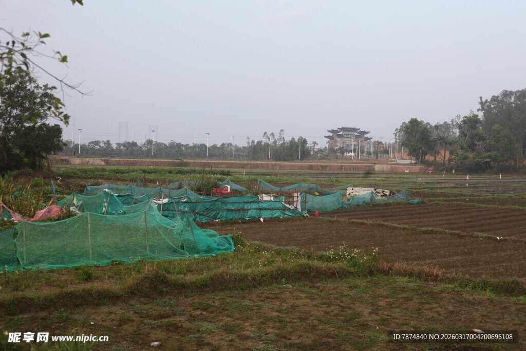 田野中的绿色防护网景观
