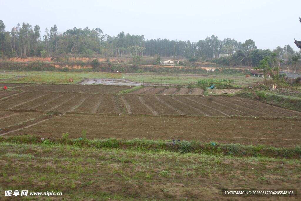 乡村田野农田景象