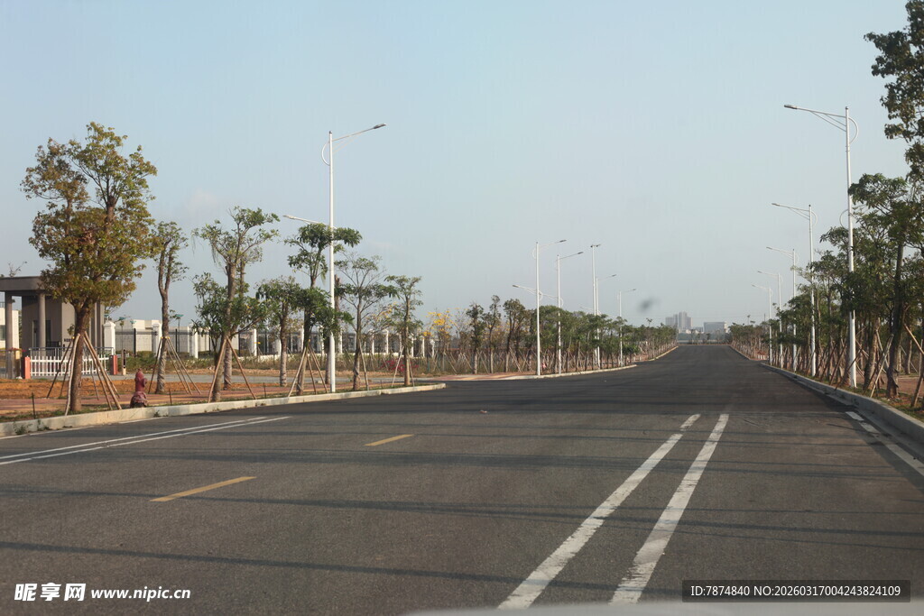 宽阔公路旁绿树成排