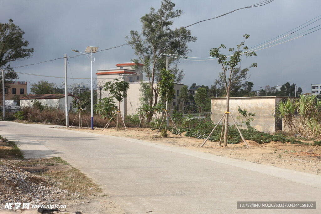 乡村宁静小路风景