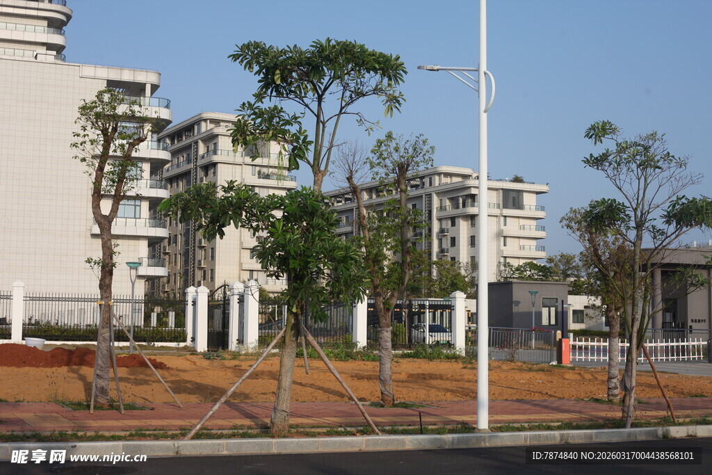 现代小区旁的树木景观