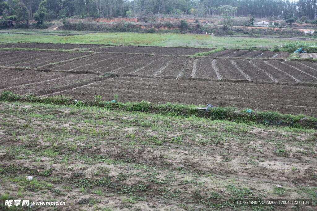 农田景象 土地规整待耕种