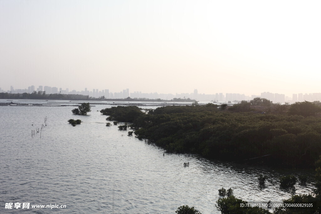 河畔风光 水面与绿植景致