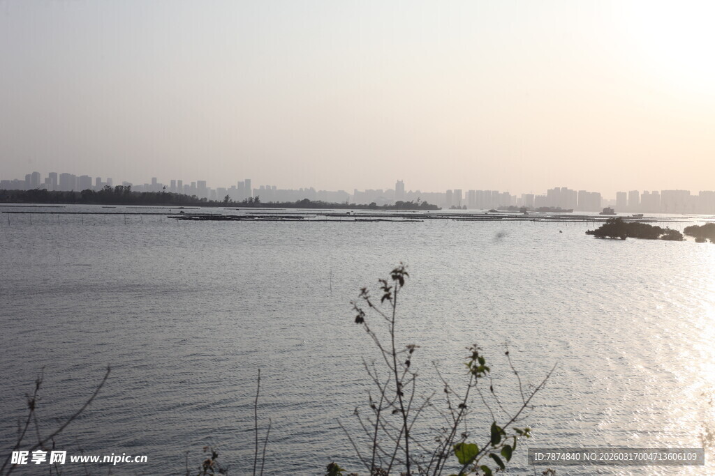 夕阳下波光粼粼的水面