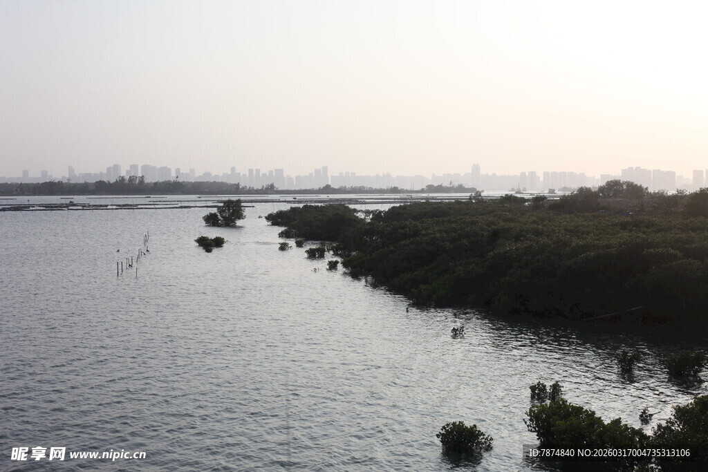 河畔风光 绿植点缀水面