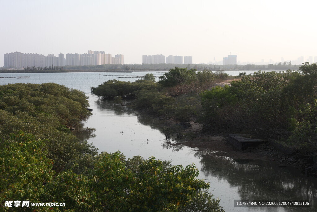 河畔绿意 城市远景风光